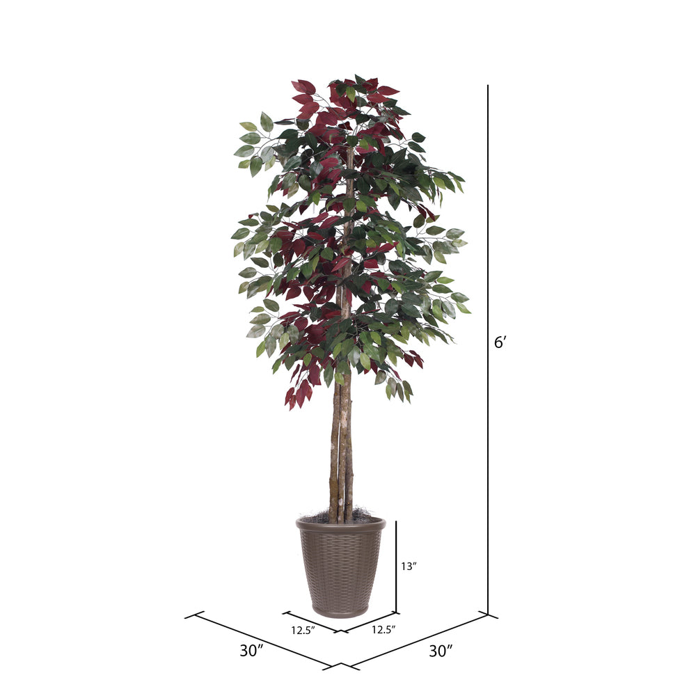 Vickerman 6' Artificial Capensia Deluxe Tree Brown Round Plastic Container. - Cheap-Us