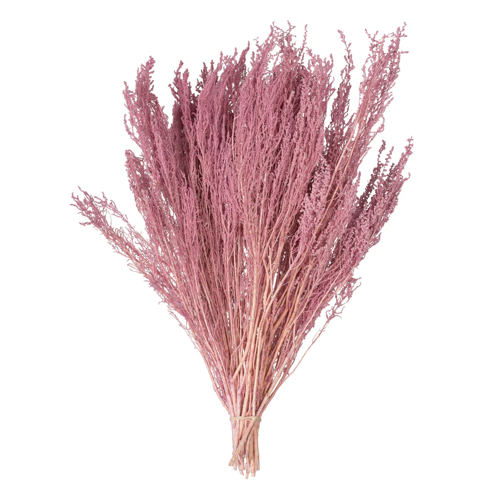 Vickerman 14-18