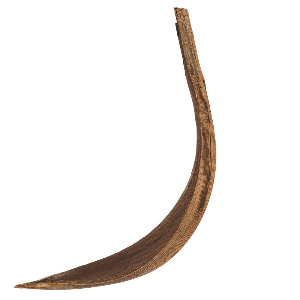 Vickerman PALM PADDLES MINI DK BROWN 15 PIECE BAG (CPD-25) Dried - Cheap-Us