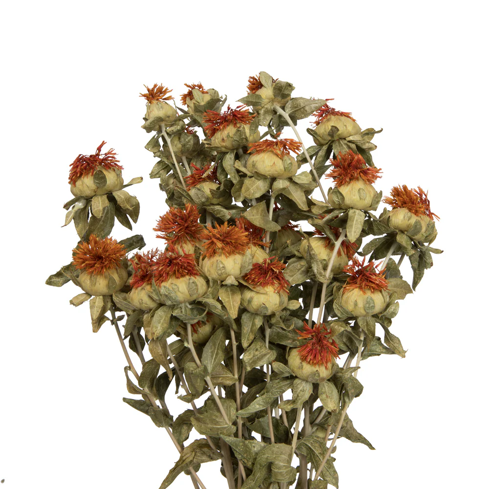 Vickerman Natural Botanicals 22-26