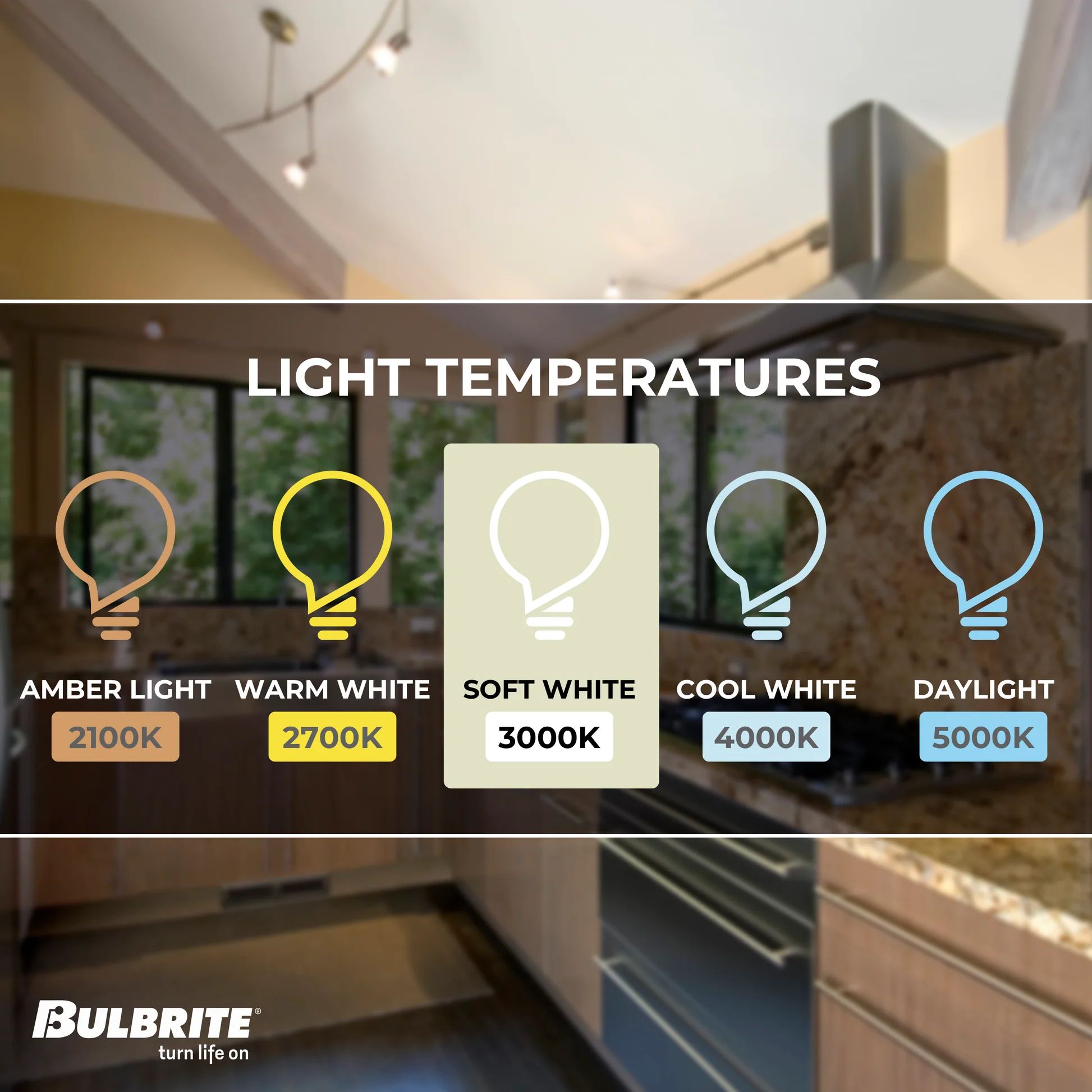 Bulbrite 6.W LED (50-Watt Equivalent) MR16 with Bi Pin Base GU5.3 Dimmable LED Light Bulb 3000K (4-Pack) - Cheap-Us