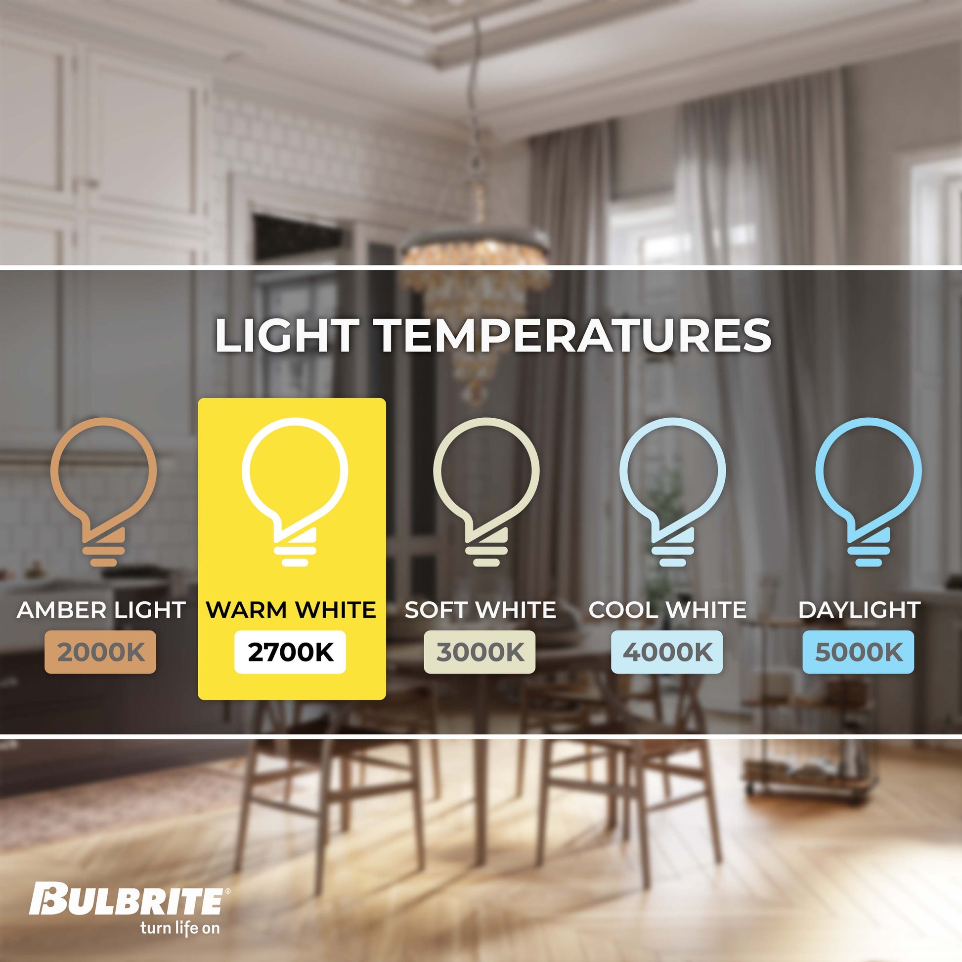 Bulbrite LED Filament Pack of (4) 5 Watt Dimmable 15 Inch T9 Light Bulb with Clear Glass Finish and Medium (E26) Base - 2700K (Warm White Light), 400 Lumens - Cheap-Us