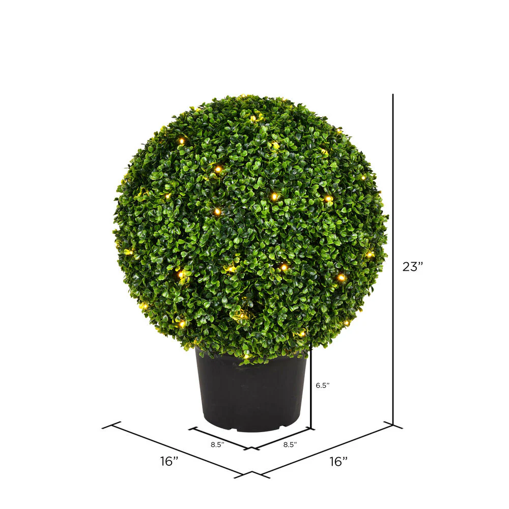 Vickerman 20