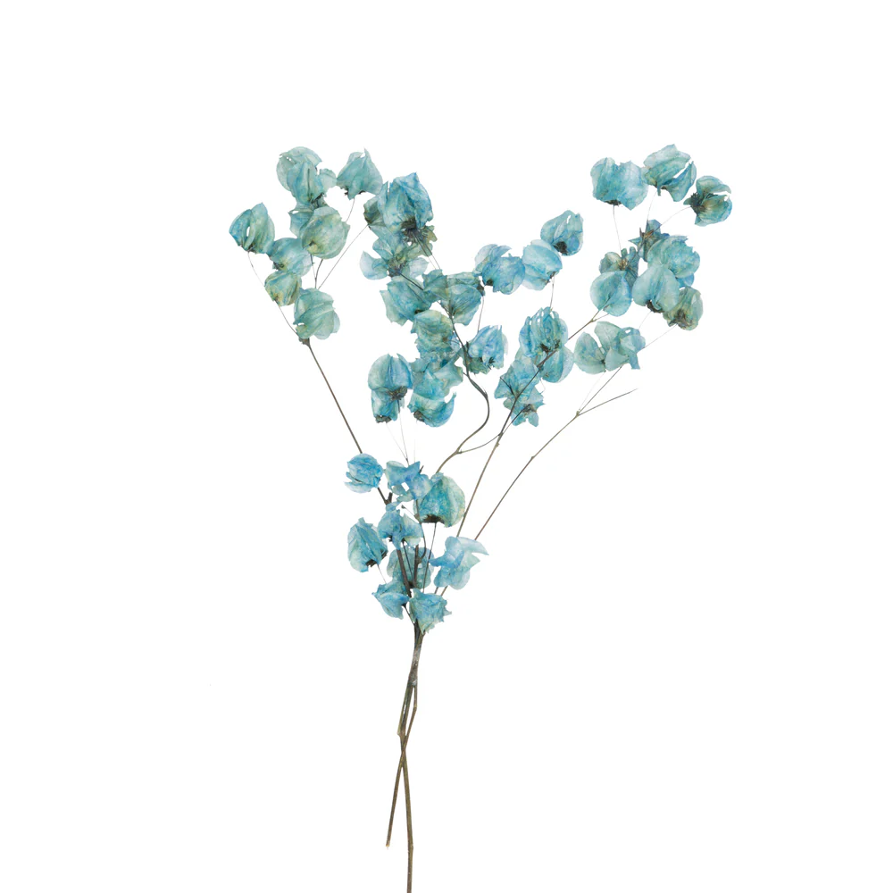 Vickerman 13.5-17