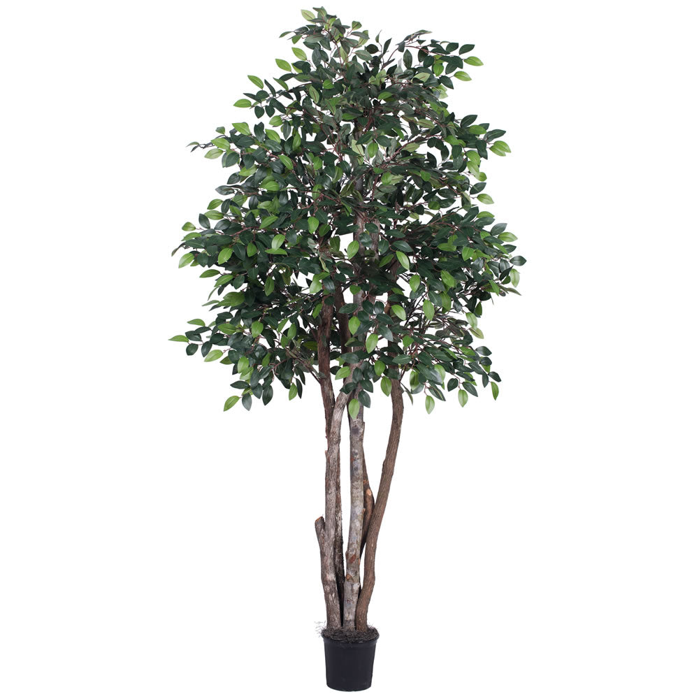 Vickerman 6' Artificial Mini Ficus Executive Black Plastic Pot - Cheap-Us