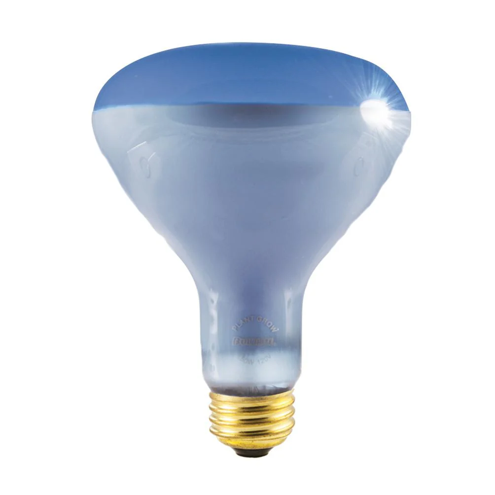 BULBRITE INCANDESCENT R40 MEDIUM SCREW (E26) 150W DIMMABLE LIGHT BULB PLANT GROWTH 4PK (710415) - Cheap-Us