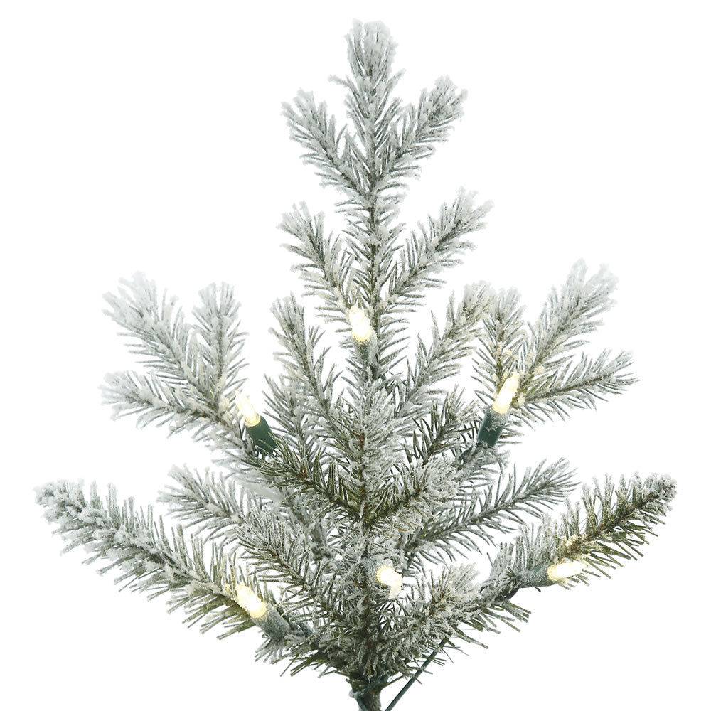 Vickerman 3.5' Frosted Eastern Fraser Fir Artificial Christmas Tree Warm White Dura-lit LED Lights - Cheap-Us