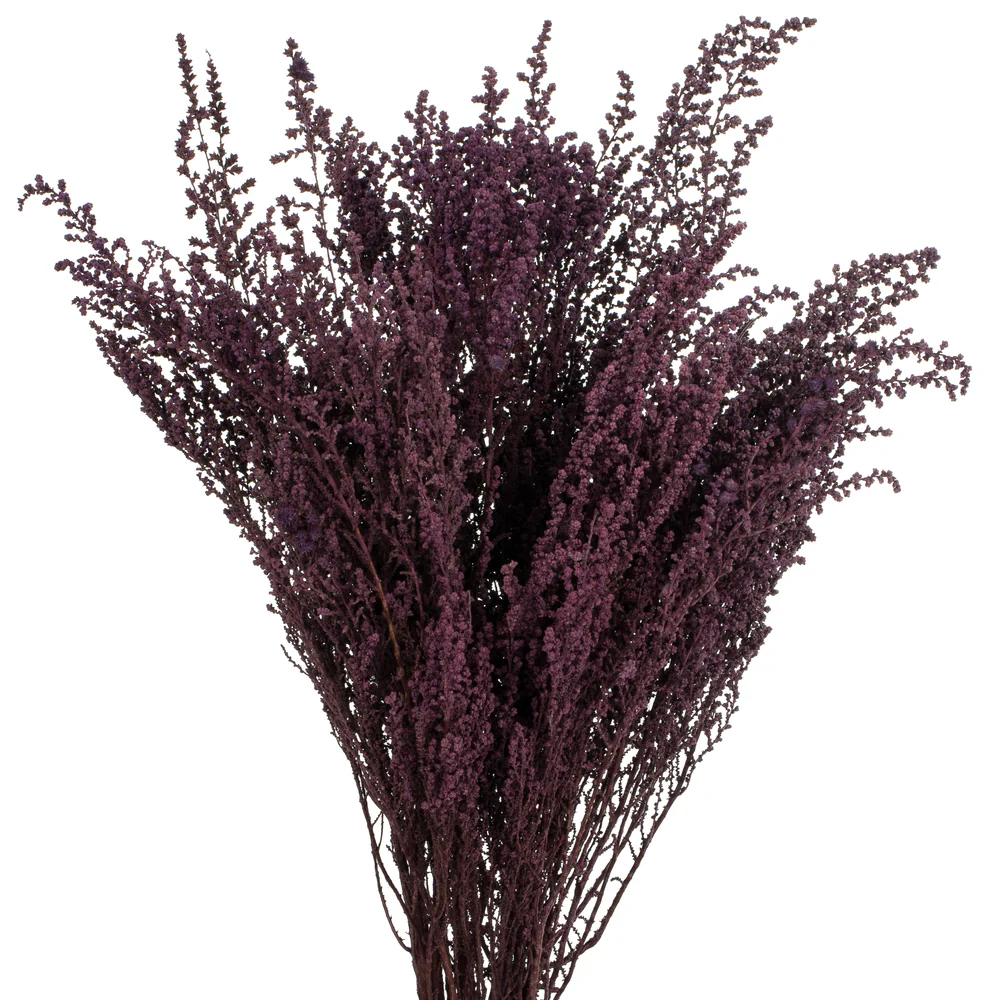 Vickerman 14-18