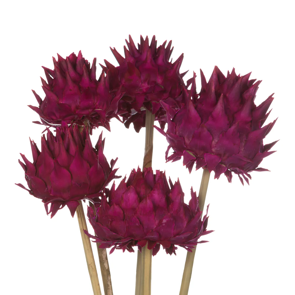 Vickerman 15
