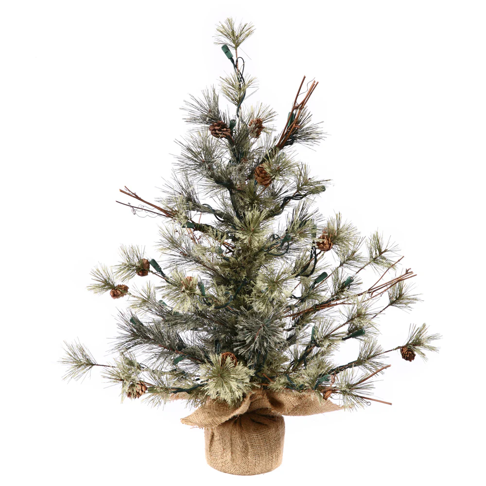 Vickerman 24