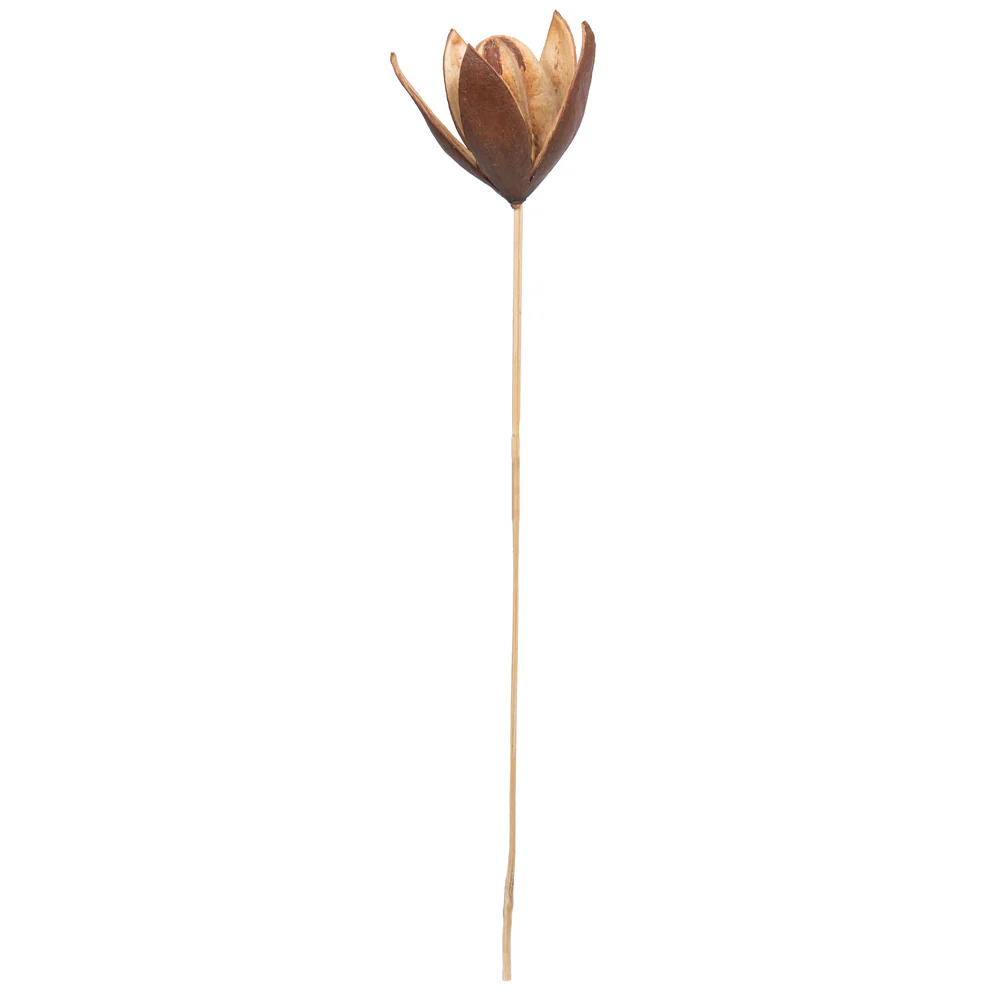 Vickerman Natural Botanicals 20