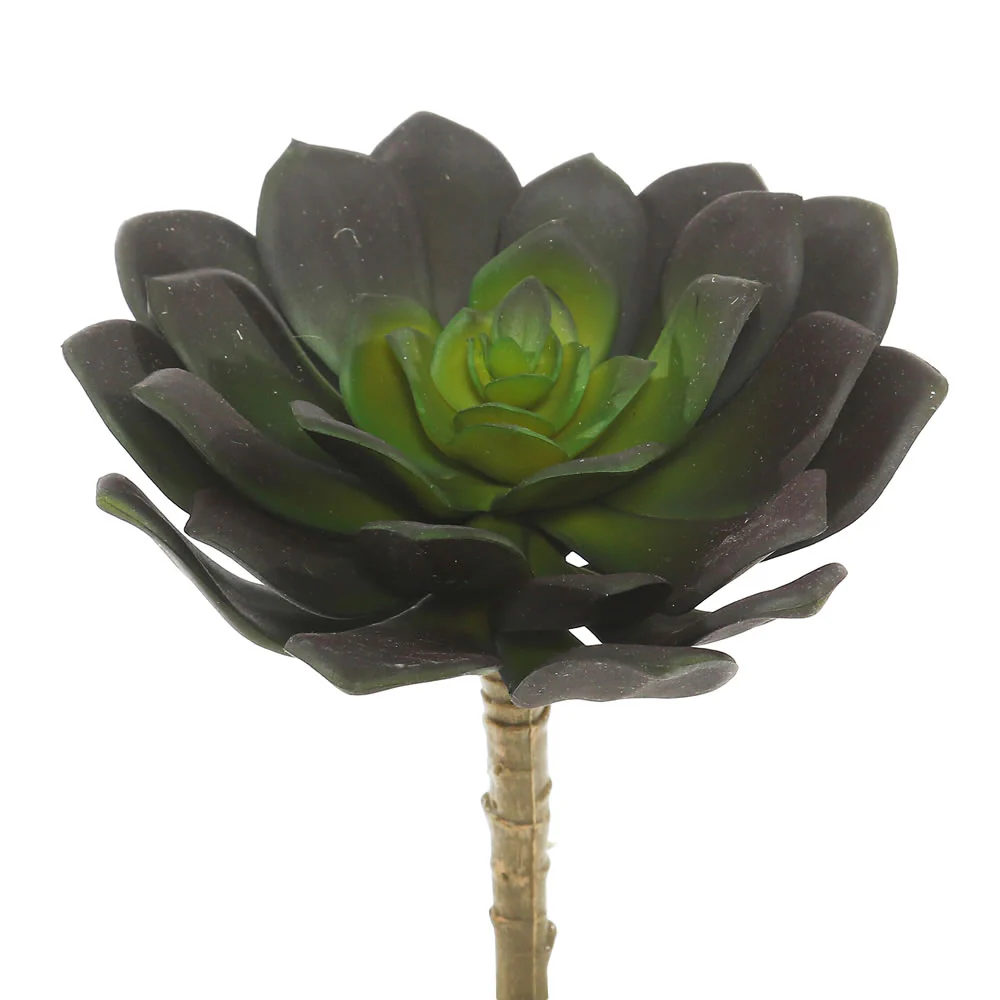 Vickerman 5.75