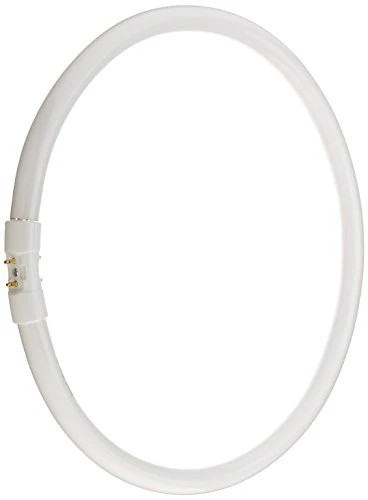 Bulbrite FC12T5/841 12 Watt Fluorescent Circline T5 Bulb, 800 Series, 2GX13 Base, Cool White - Cheap-Us