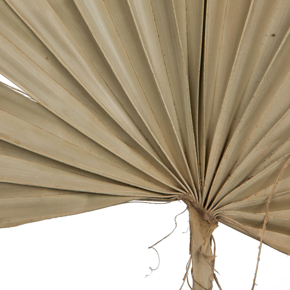 Vickerman Natural Botanicals 30