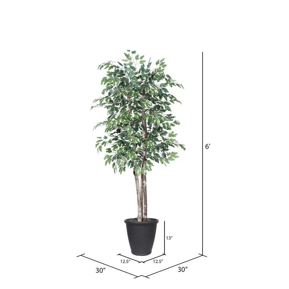 Vickerman 6' Artificial Variegated Ficus Deluxe Tree Gray Round Plastic Container. - Cheap-Us