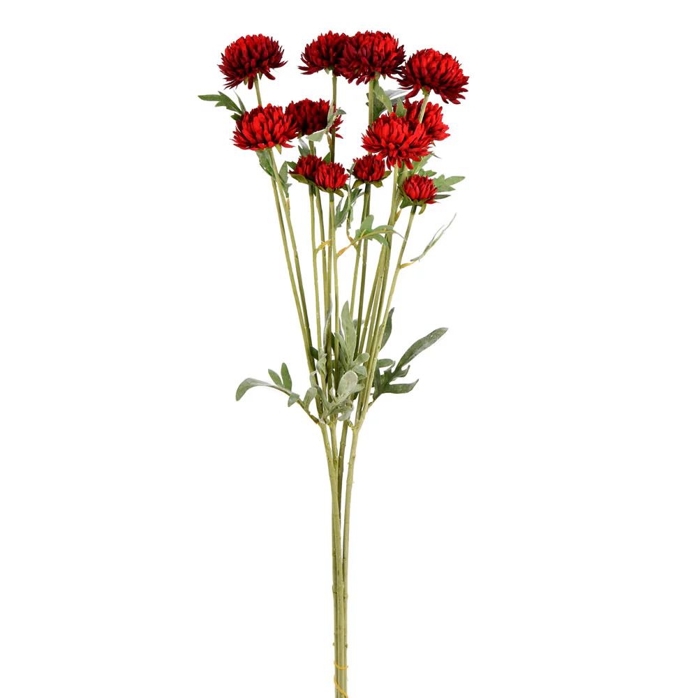 Vickerman 27