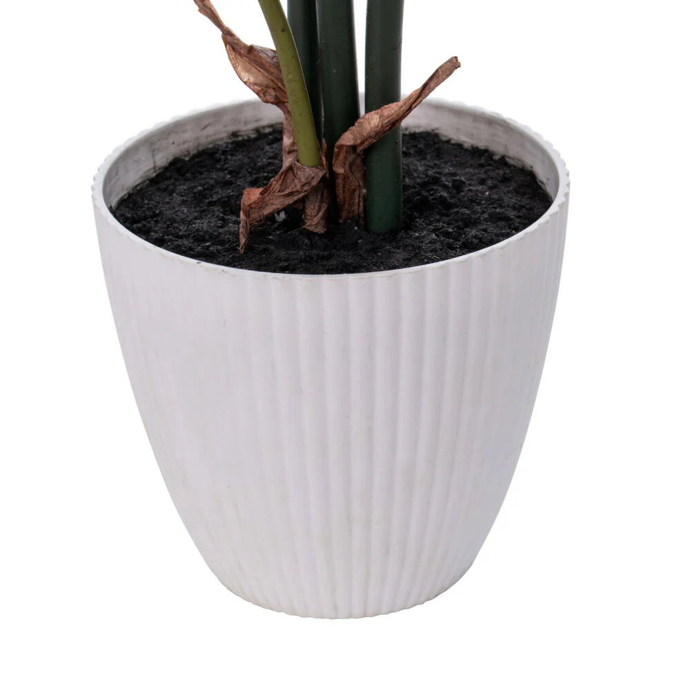 Vickerman 18