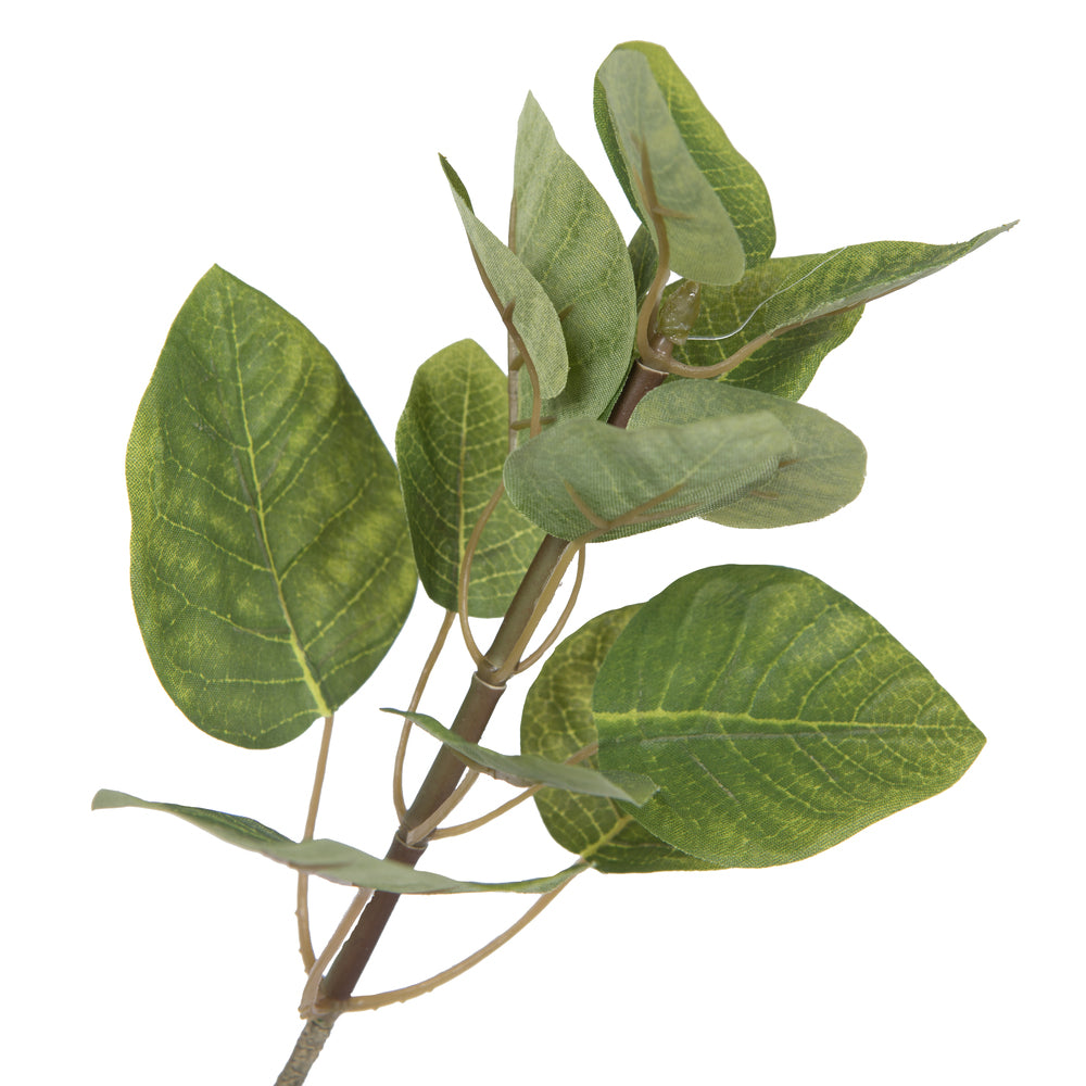 Vickerman 6' Artificial Green Potted Cotinus Coggygria Tree. - Cheap-Us