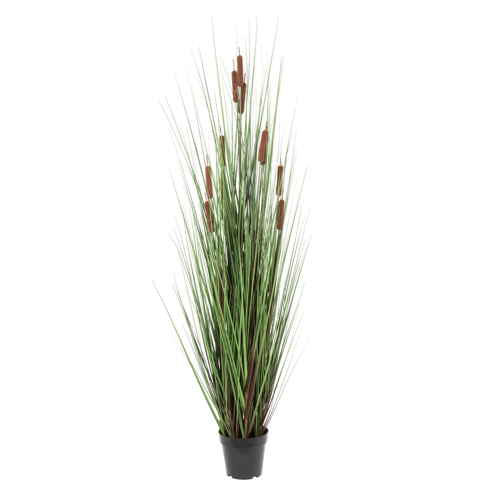 Vickerman 60