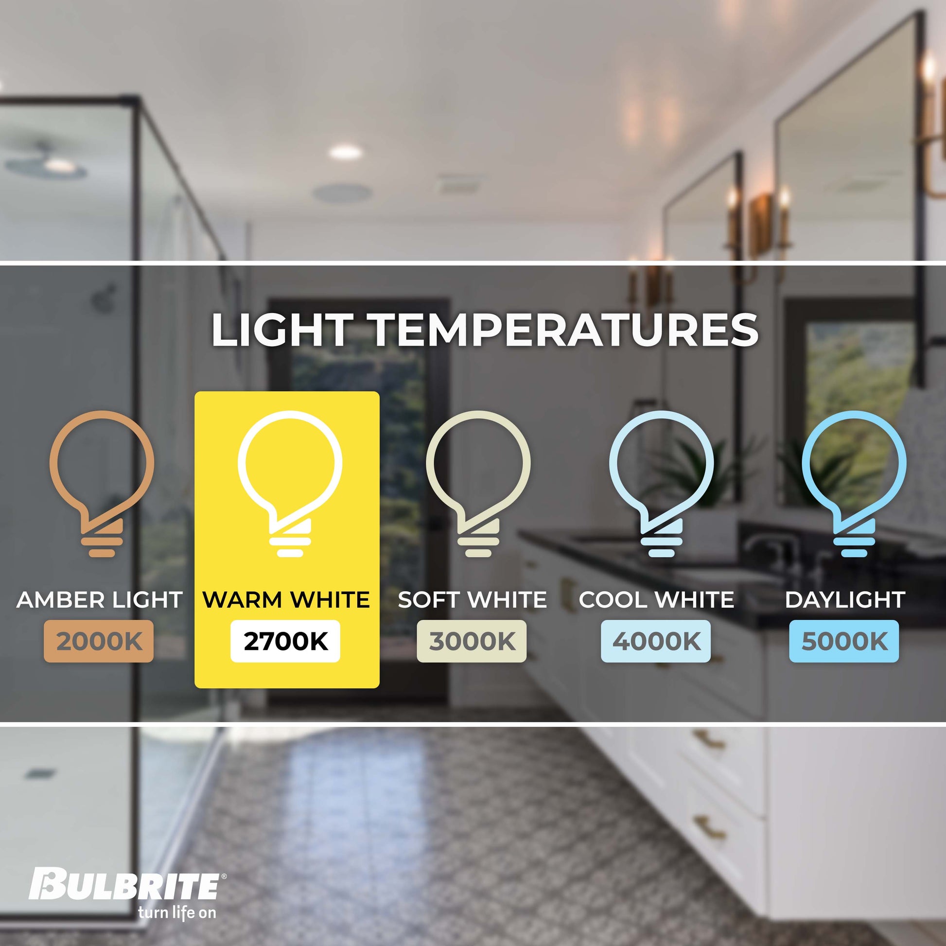 Bulbrite Pack of (6) 10 Watt Dimmable Flood PAR30SN Medium (E26) LED Bulb - 800 Lumens, 2700K, and 80 CRI - Cheap-Us