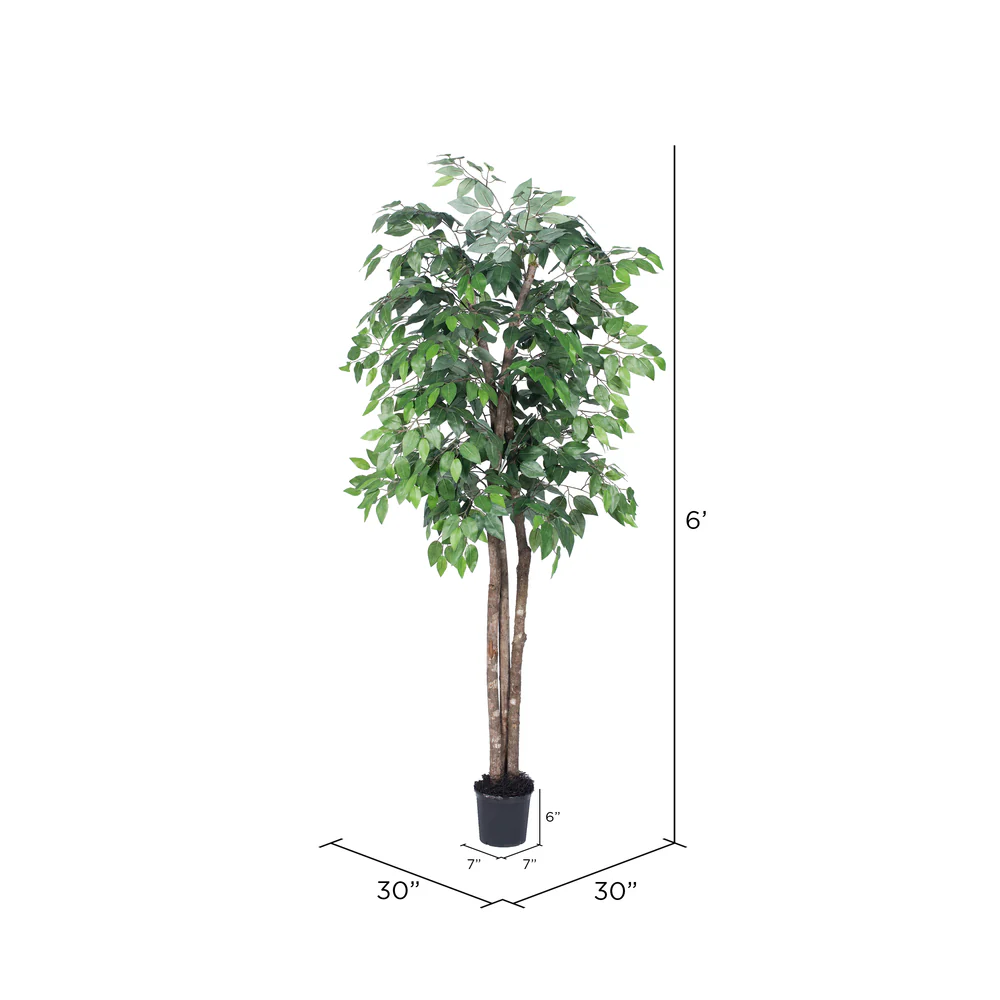 Vickerman 6' Artificial Ficus Deluxe Black Plastic Pot - Cheap-Us