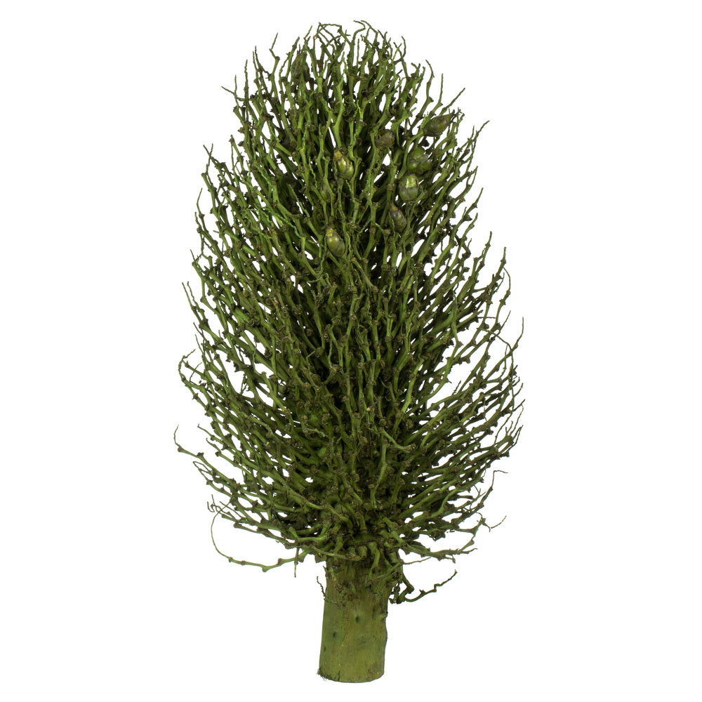 Vickerman 22 x 7