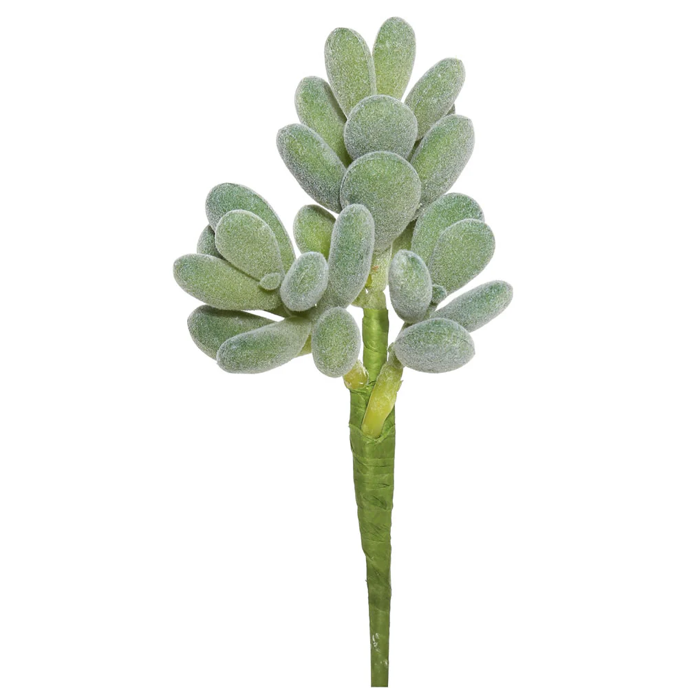 Vickerman 7