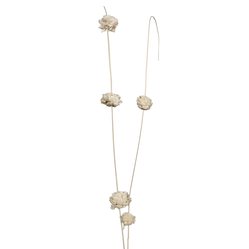 Vickerman Natural Botanicals 40