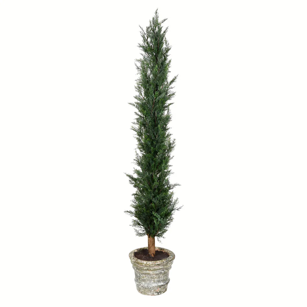 Vickerman 60