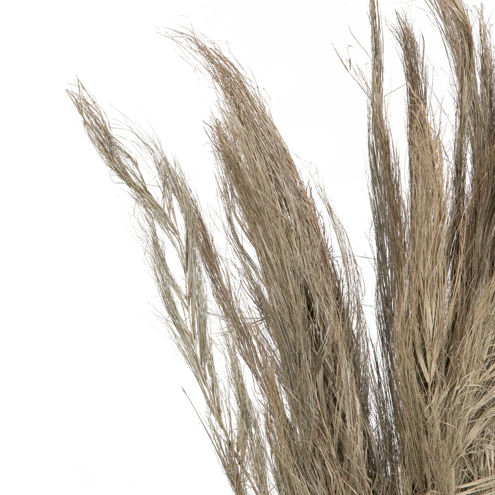 Vickerman Natural Botanicals 40