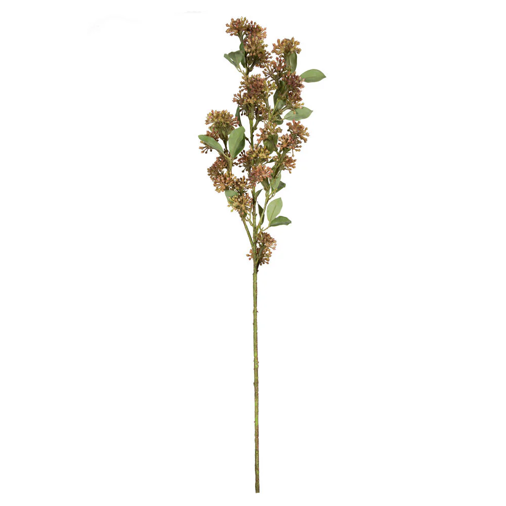 Vickerman 31