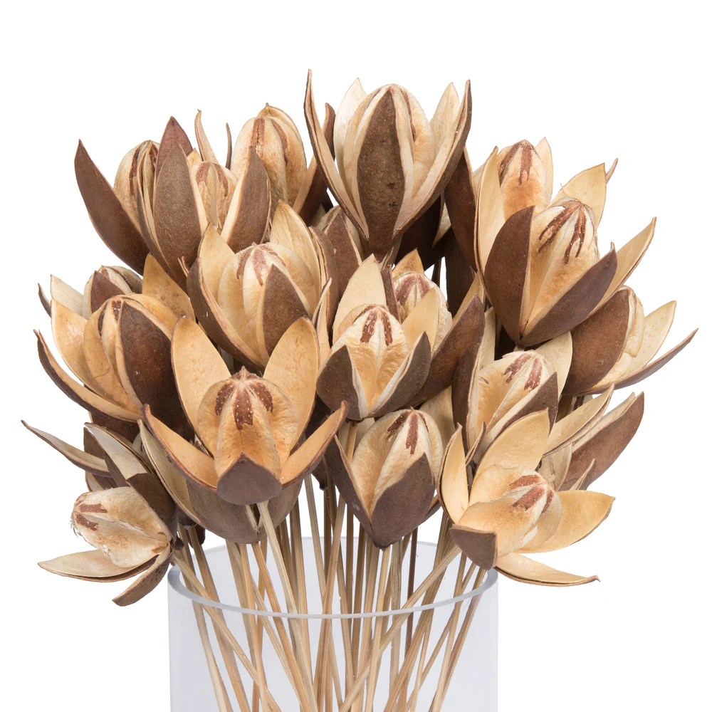 Vickerman Natural Botanicals 20