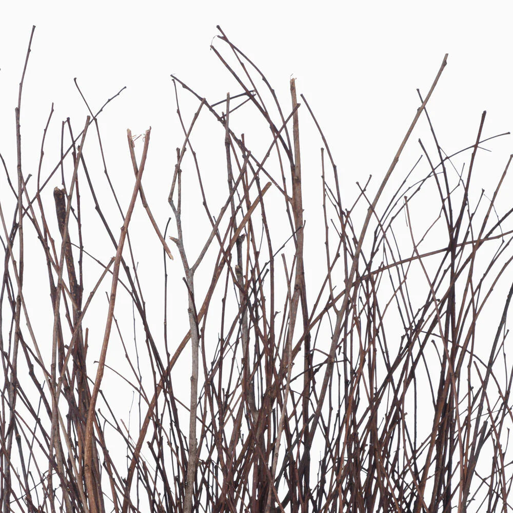 Vickerman Natural Botanicals 32