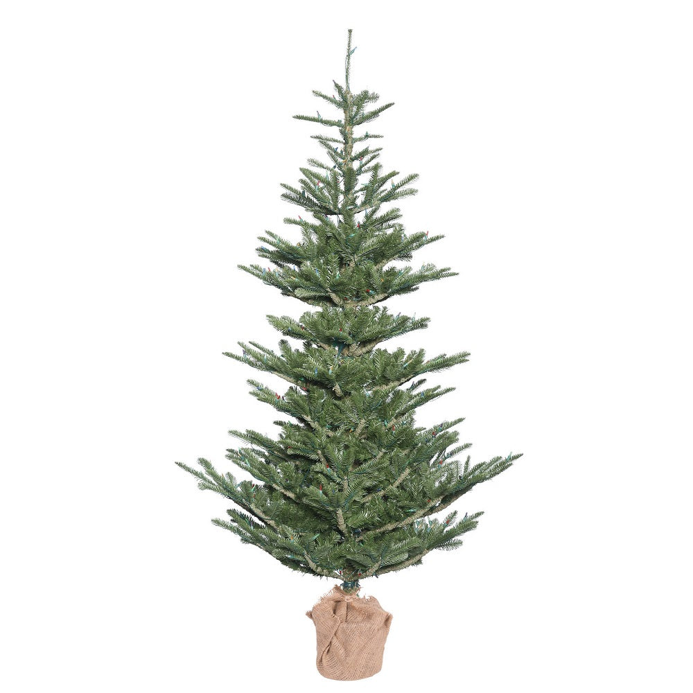 Vickerman 5' Alberta Spruce Artificial Christmas Tree Unlit - Cheap-Us