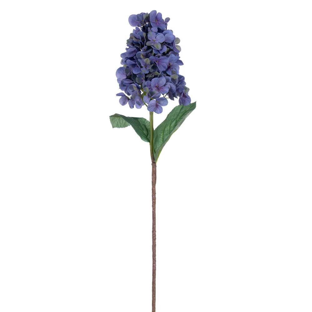 Vickerman 34