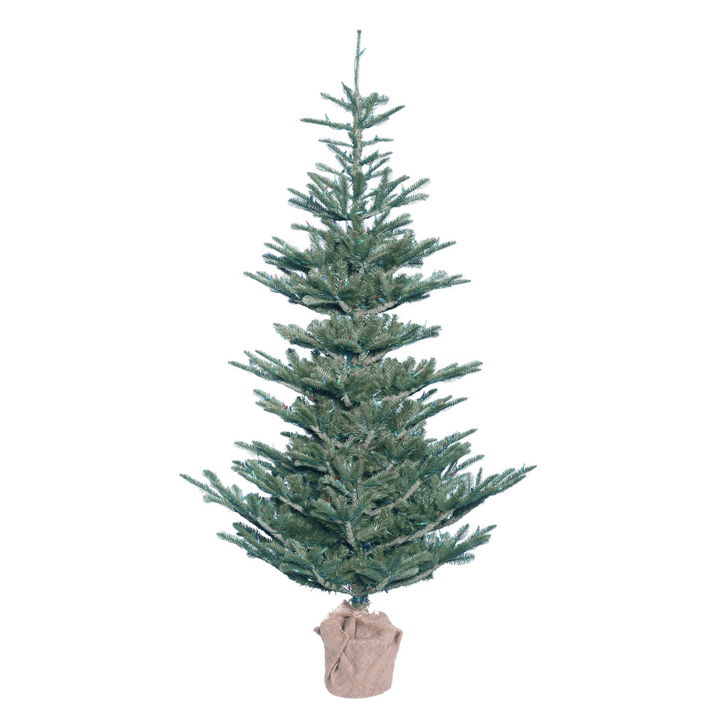 Vickerman 5' Alberta Blue Spruce Artificial Christmas Tree Unlit - Cheap-Us