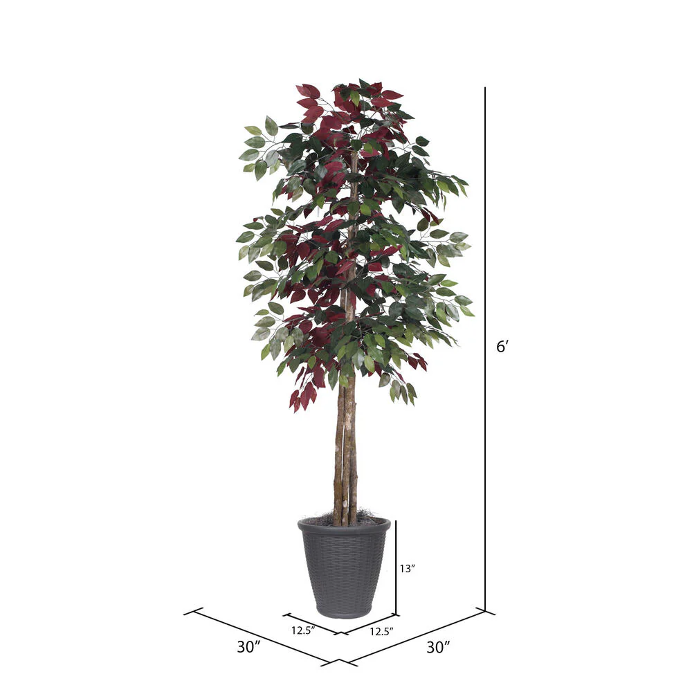 Vickerman 6' Artificial Capensia Deluxe Tree Gray Round Plastic Container. - Cheap-Us