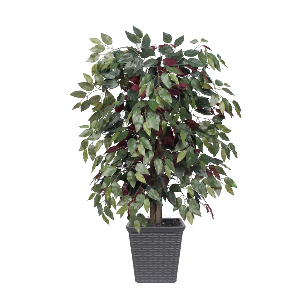 Vickerman 4' Artificial Capensia Bush Gray Square Plastic Container - Cheap-Us