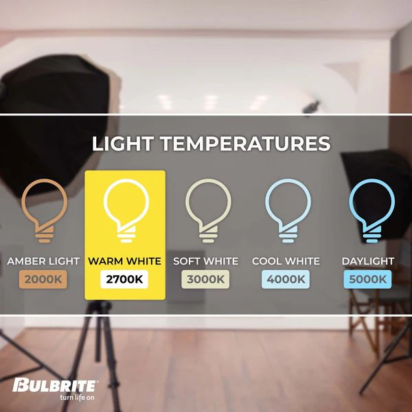 BULBRITE INCANDESCENT G25 MEDIUM SCREW (E26) 40W DIMMABLE LIGHT BULB 2700K/WARM WHITE HALF GOLD 6PK (712424) - Cheap-Us