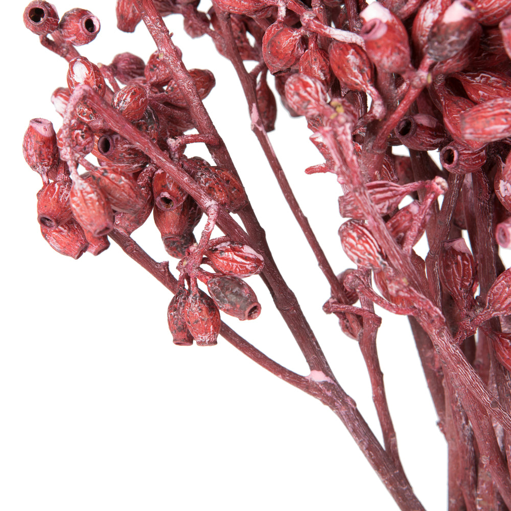 Vickerman Natural Botanicals 12