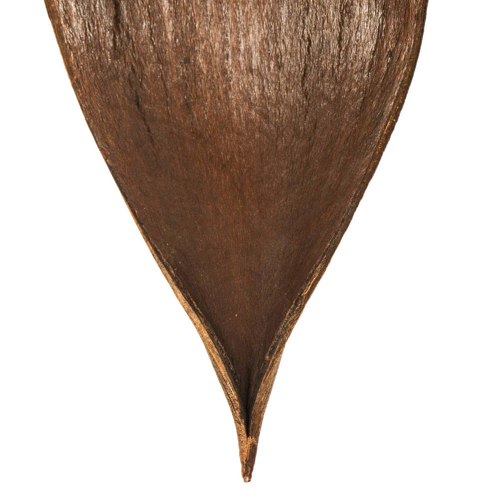 Vickerman PALM PADDLES MINI DK BROWN 15 PIECE BAG (CPD-25) Dried - Cheap-Us