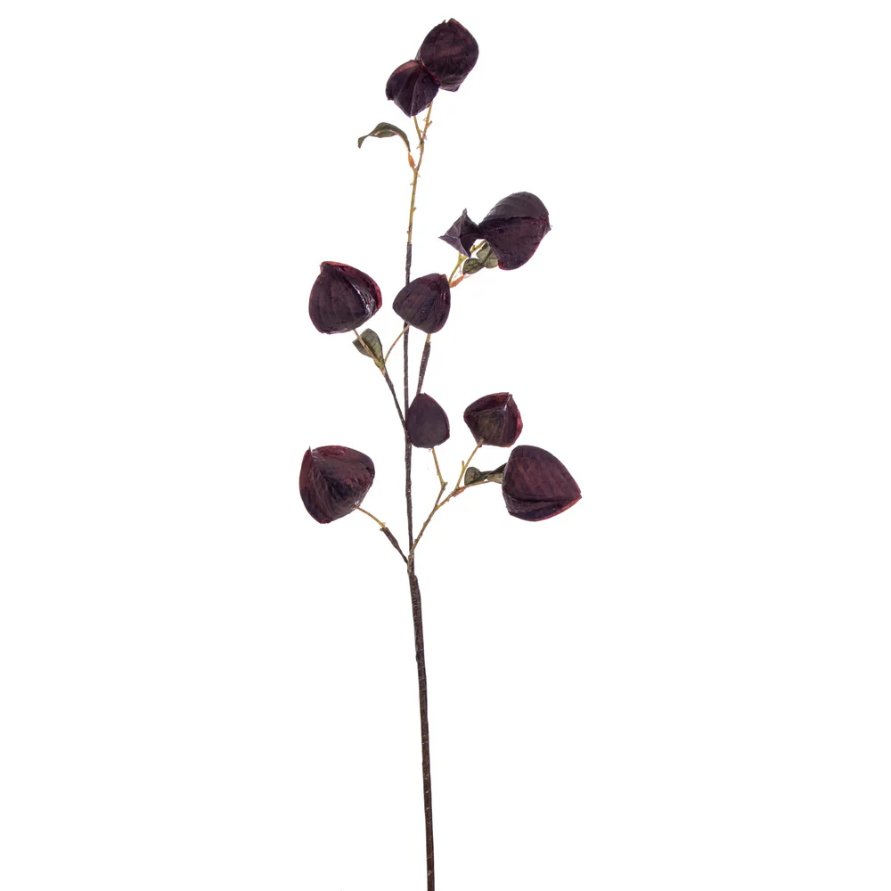 Vickerman 30.5