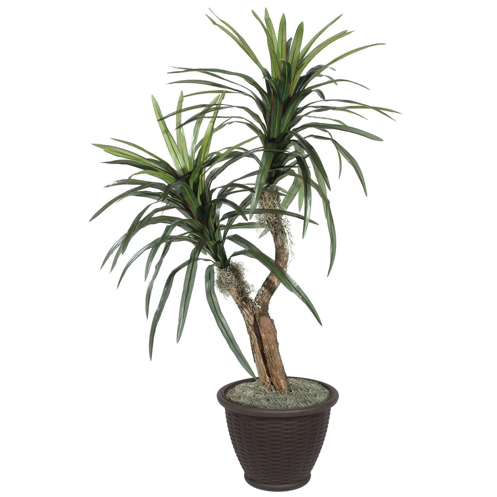 Vickerman 4' Artificial Marginata Bush Brown Plastic Container. - Cheap-Us