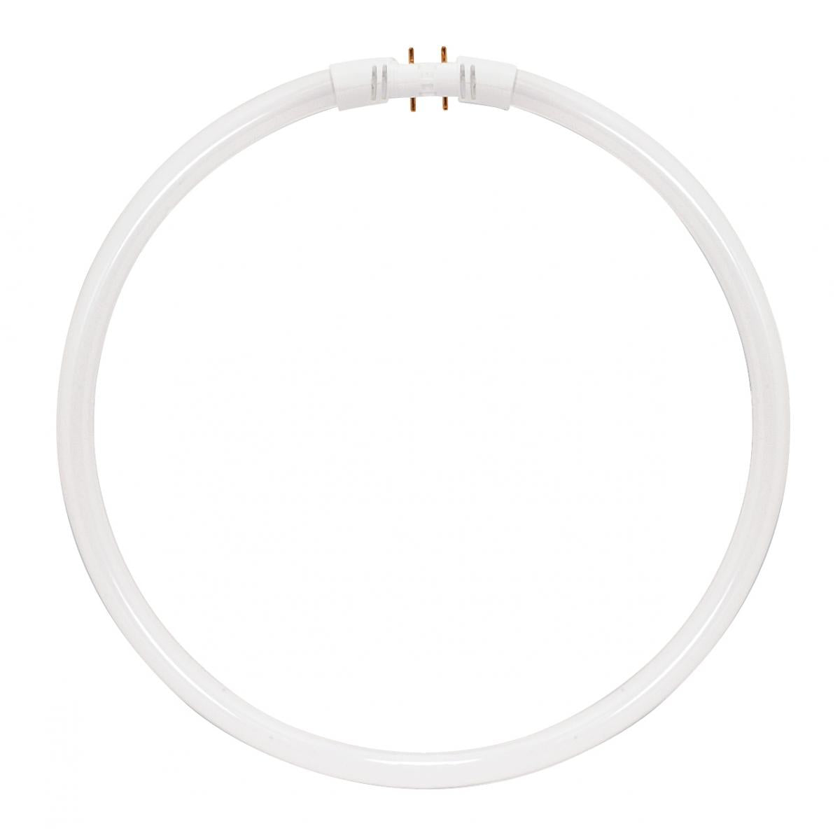 S2959 FPC40/835 #20732 40 Watt; T5; Circline Fluorescent; 3500K Neutral White; 82 CRI; 2GX13 (4-Pin) base - Cheap-Us