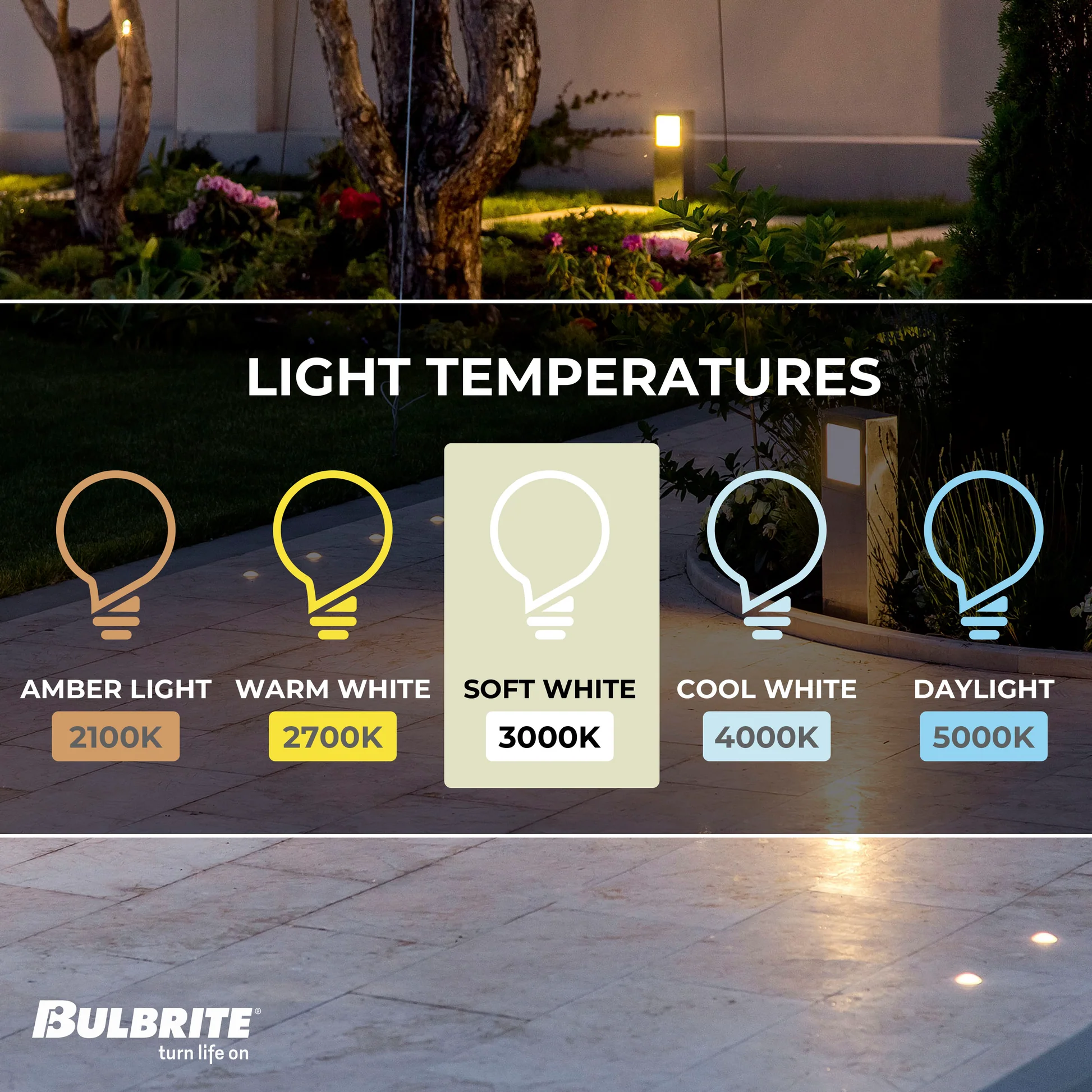 BULBRITE 0.8W LED FEST 3000K 24V-4PK - Cheap-Us