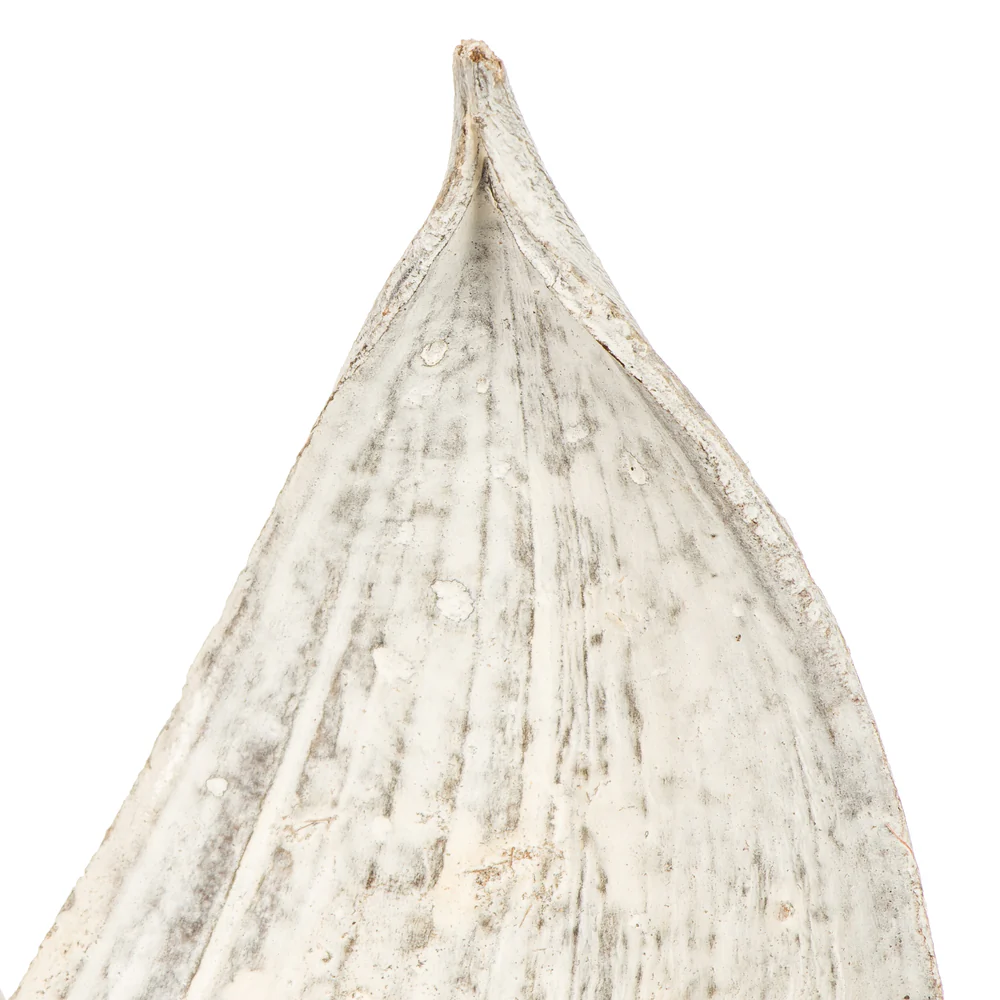 Vickerman PALM PADDLES MINIWHITE WASH 15 PIECE BAG (CPD-25) Dried - Cheap-Us