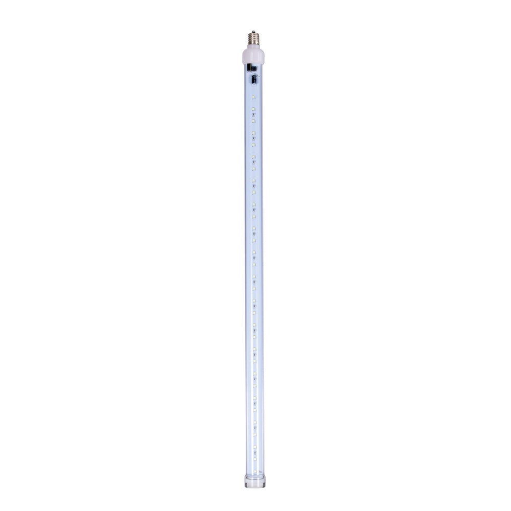 Vickerman 5 Pack of 24