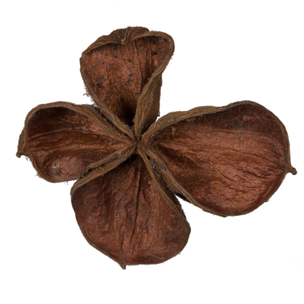 Vickerman Natural Botanicals 3.2