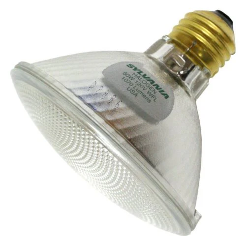60 Watt Sylvania PAR30 Flood Capsylite Bulb - Cheap-Us