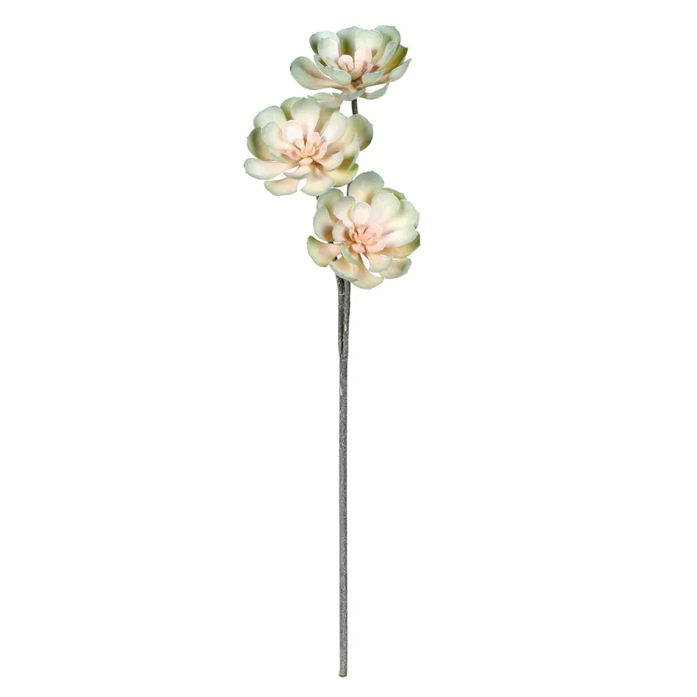 Vickerman 34